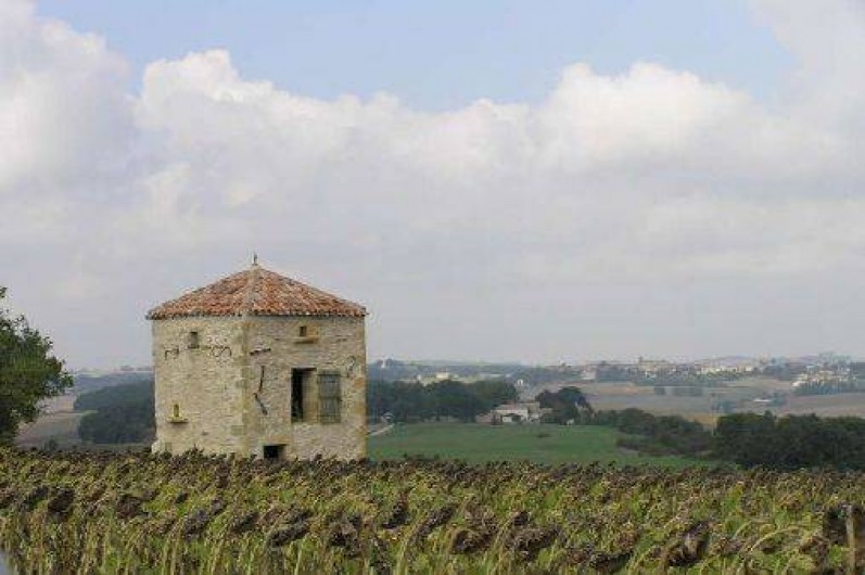Location de vacances - Gîte à La Sauvetat