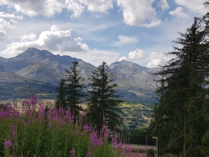 Location de vacances - Appartement à La Joue du Loup - Paysage La joue du Loup