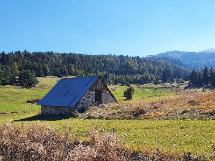 Location de vacances - Appartement à La Joue du Loup