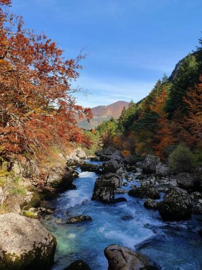 Location de vacances - Appartement à La Joue du Loup