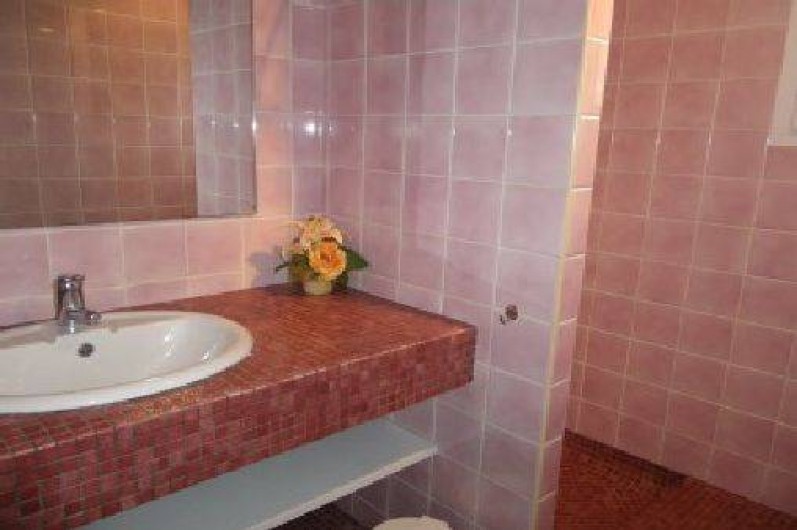 Location de vacances - Gîte à Esquièze-Sère - Salle d'eau