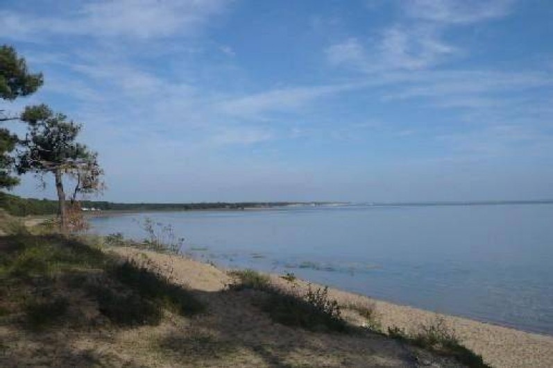 Location de vacances - Villa à La Palmyre