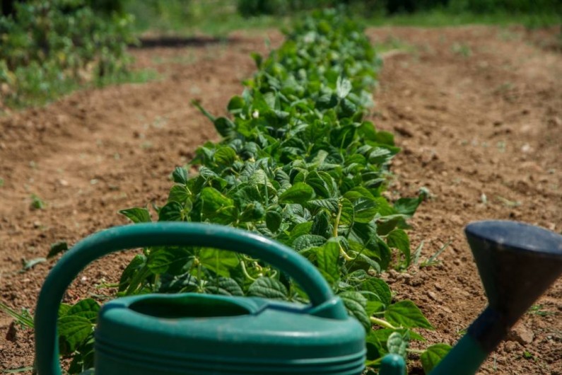 Location de vacances - Gîte à Albi