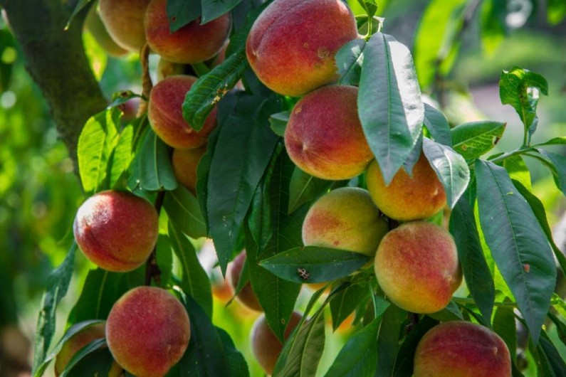 Location de vacances - Gîte à Albi