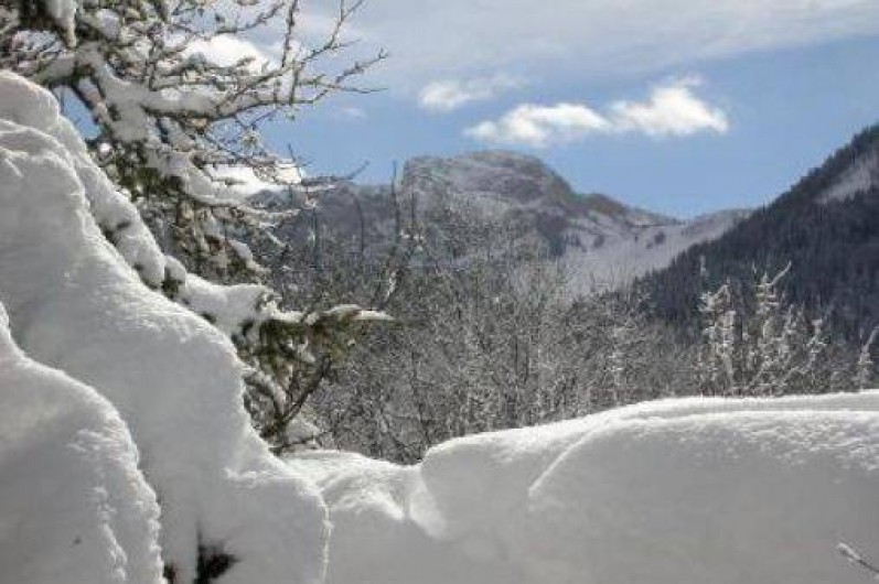Location de vacances - Chalet à Mégevette