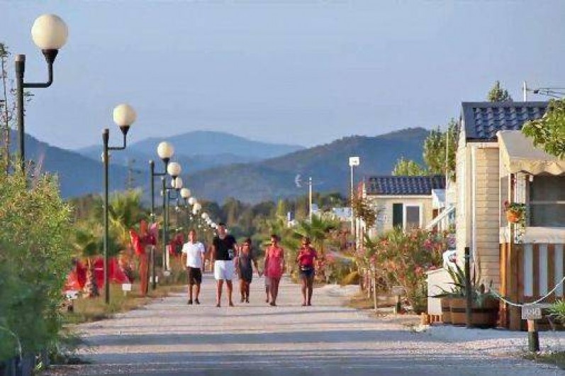 Location de vacances - Bungalow - Mobilhome à Hyères