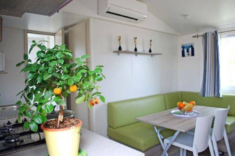 Location de vacances - Bungalow - Mobilhome à Hyères