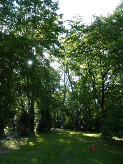 Location de vacances - Gîte à Festalemps