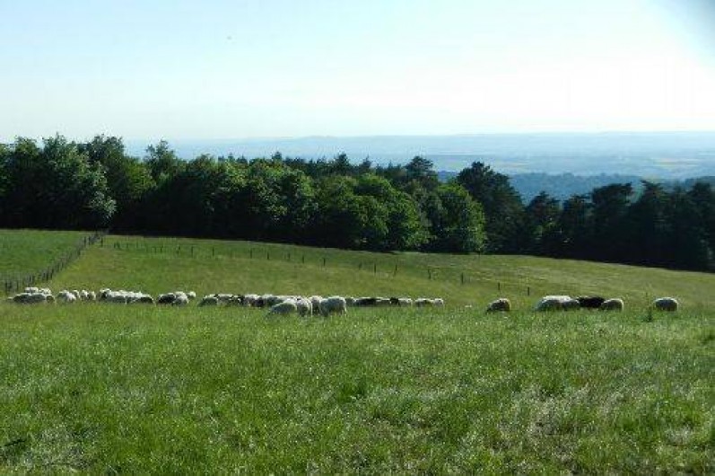Location de vacances - Gîte à Montredon-Labessonnié