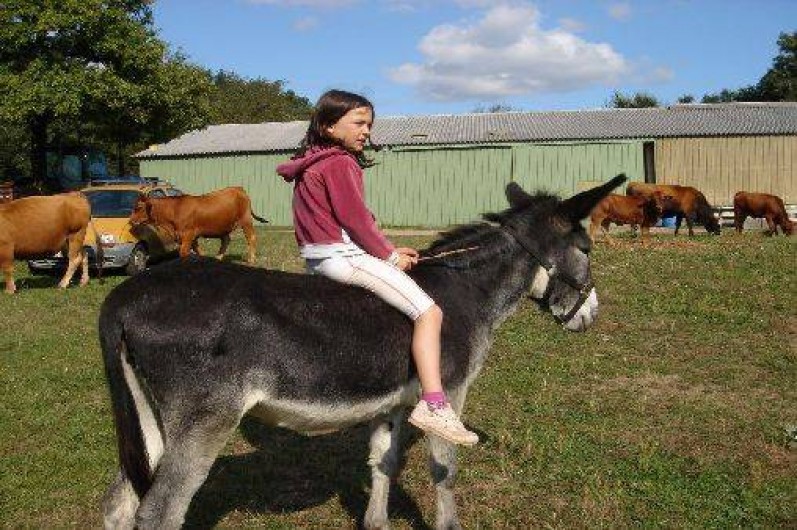 Location de vacances - Gîte à Montredon-Labessonnié