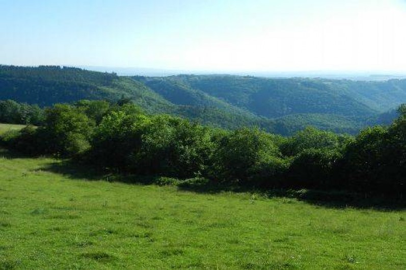Location de vacances - Gîte à Montredon-Labessonnié