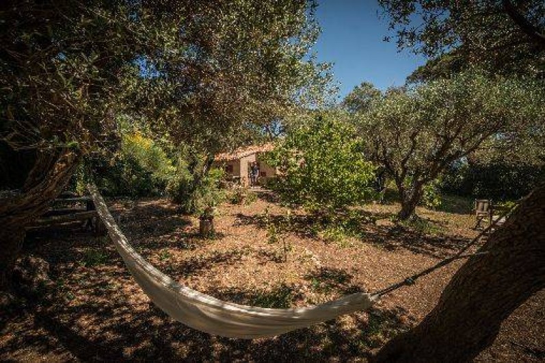 Location de vacances - Maison - Villa à Saint-Tropez