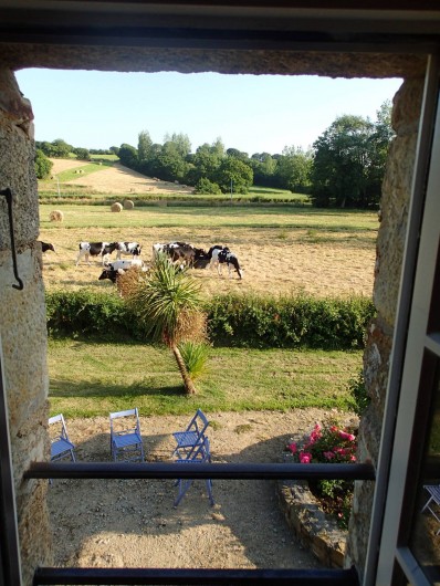 Location de vacances - Gîte à Surtainville - La nature