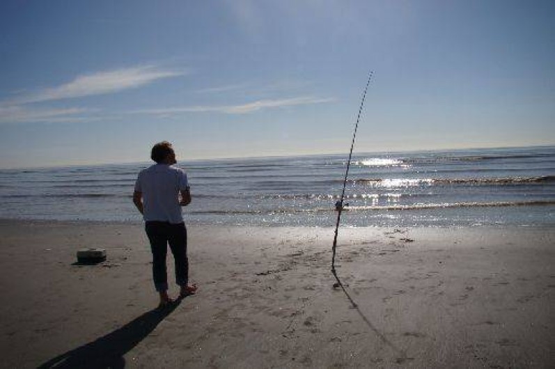 Location de vacances - Appartement à Le Touquet-Paris-Plage