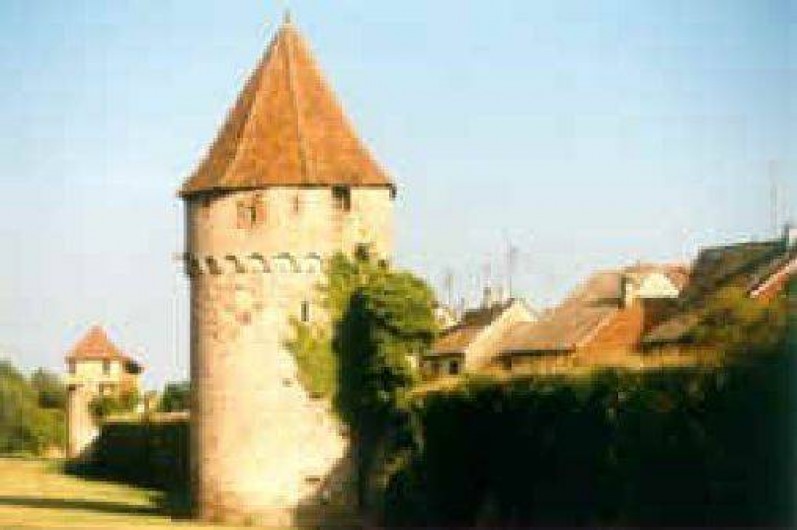 Location de vacances - Gîte à Bergheim - tour des remparts