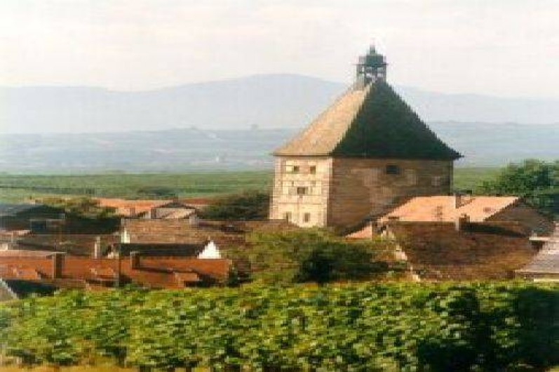 Location de vacances - Gîte à Bergheim - la Porte haute