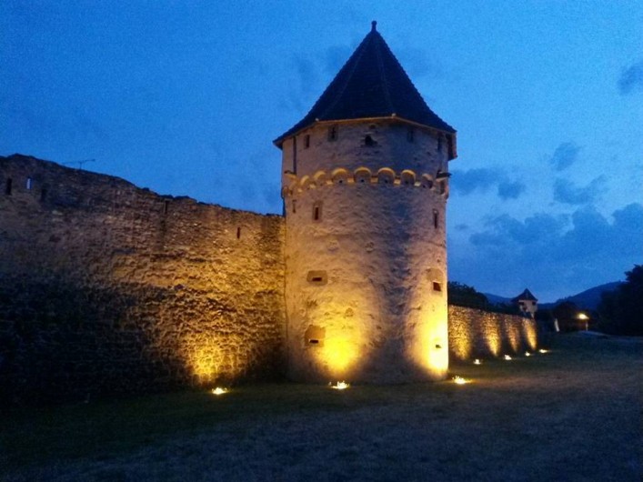 Location de vacances - Gîte à Bergheim - Rempart de nuit
