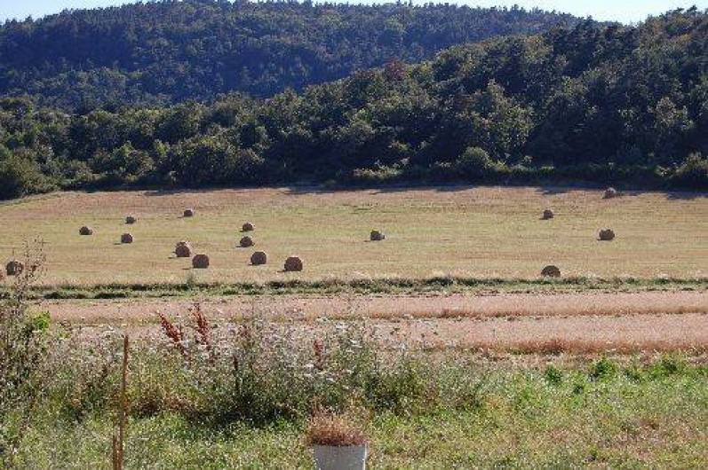 Location de vacances - Gîte à Saint-Victor