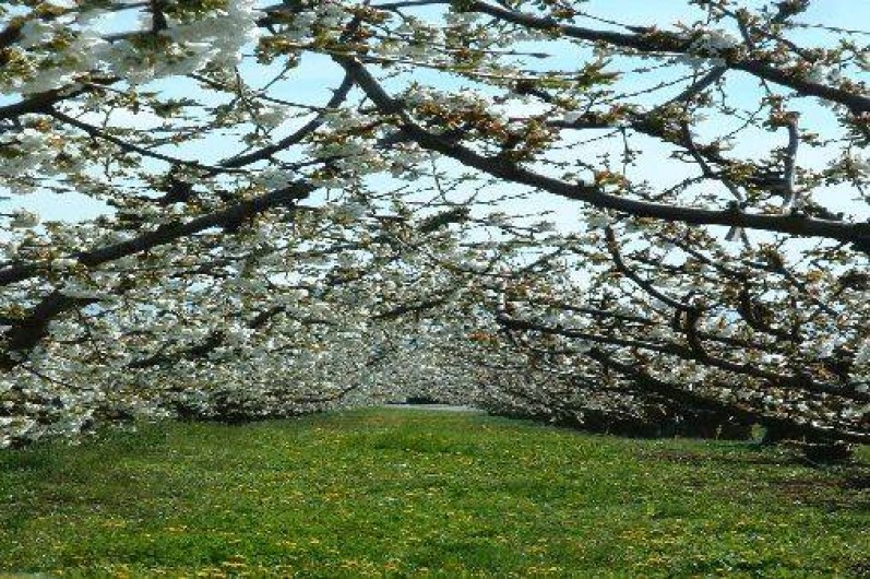 Location de vacances - Gîte à Saint-Victor