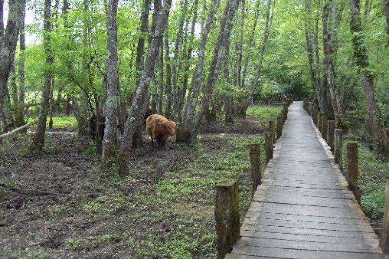 Location de vacances - Gîte à Chavornay