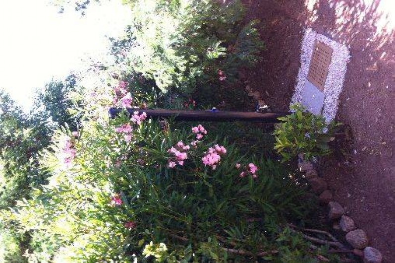 Location de vacances - Villa à La Londe-les-Maures