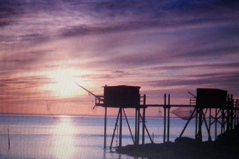 Location de vacances - Maison - Villa à Meschers-sur-Gironde