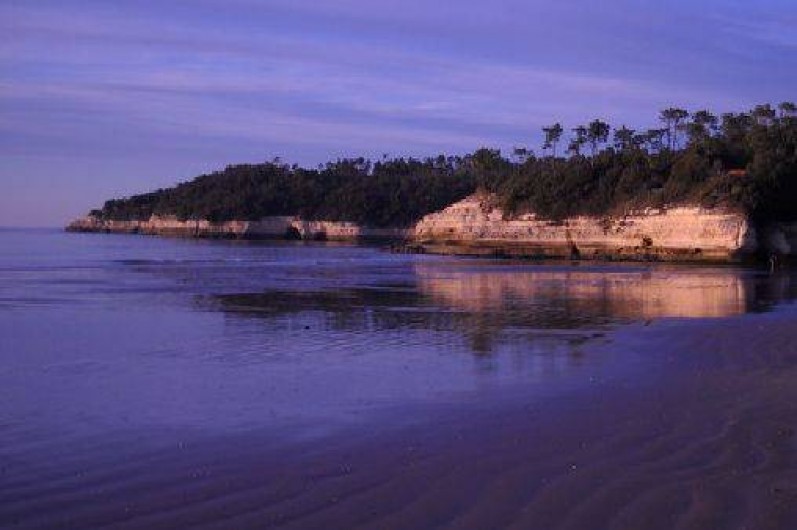 Location de vacances - Maison - Villa à Meschers-sur-Gironde