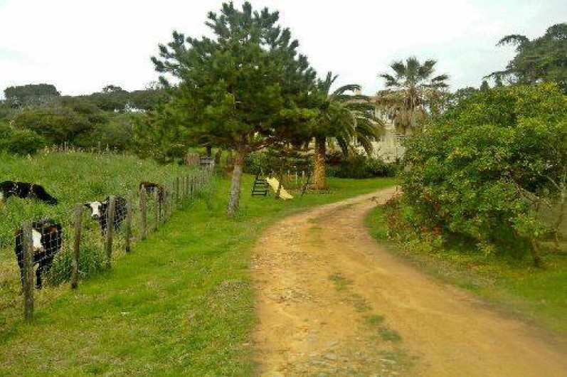 Location de vacances - Hôtel - Auberge à Sagone