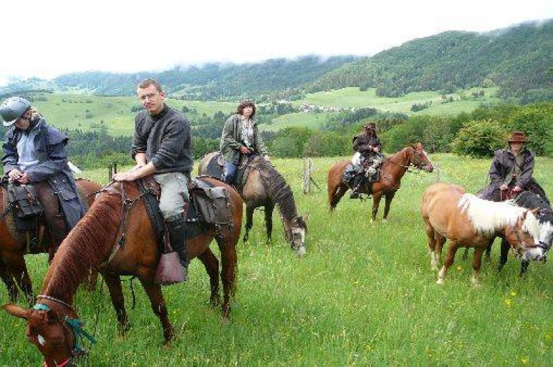 Location de vacances - Gîte à Saint-Vincent-de-Mercuze - Possibilité de balade à cheval à moins de 500m