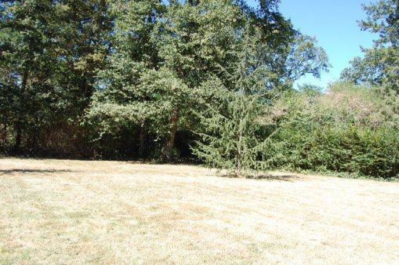 Location de vacances - Gîte à Ouzouer-sur-Trézée