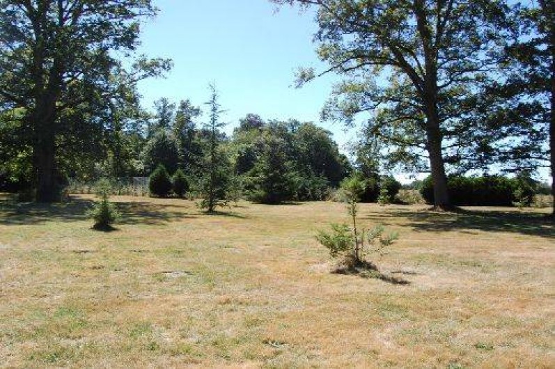 Location de vacances - Gîte à Ouzouer-sur-Trézée