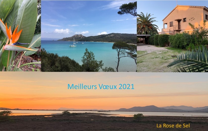 Location de vacances - Appartement à Hyères