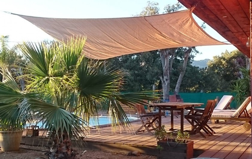 Location de vacances - Villa à Montegrosso - Terrasse et piscine