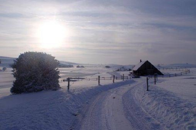 Location de vacances - Maison - Villa à Saint-Vincent-de-Salers