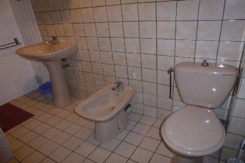 Location de vacances - Chalet à La Bresse