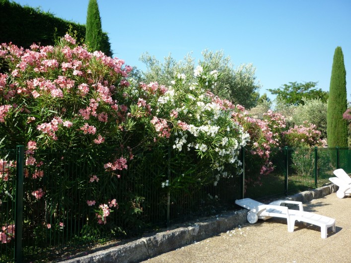 Location de vacances - Chalet à Saint-Rémy-de-Provence