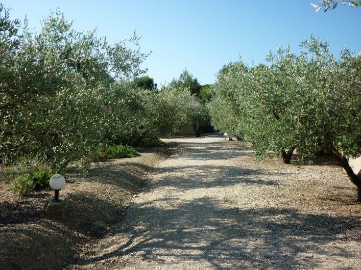 Location de vacances - Chalet à Saint-Rémy-de-Provence