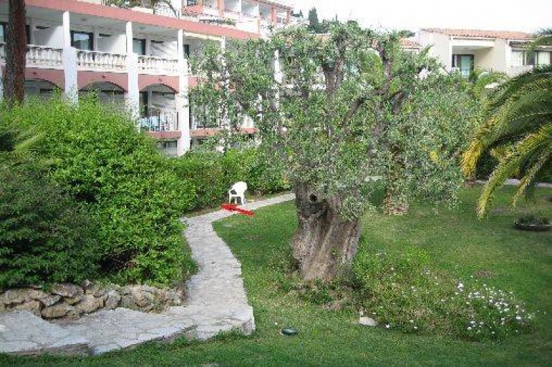 Location de vacances - Appartement à Villefranche-sur-Mer