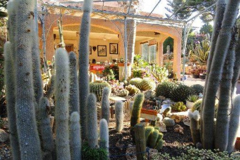 Location de vacances - Maison - Villa à Carqueiranne