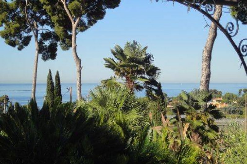 Location de vacances - Maison - Villa à Carqueiranne