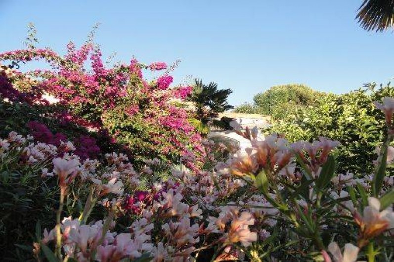 Location de vacances - Maison - Villa à Carqueiranne