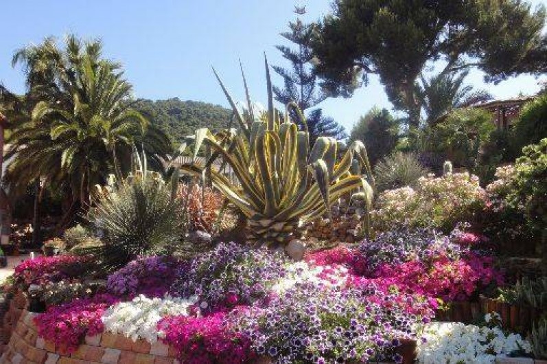 Location de vacances - Maison - Villa à Carqueiranne