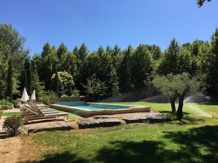 Location de vacances - Mas à Saint-Rémy-de-Provence - piscine du mas des pampres