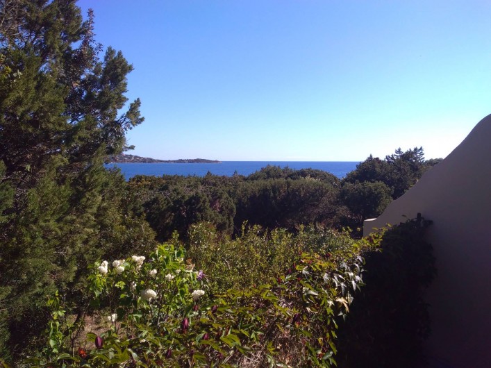 Location de vacances - Maison - Villa à Porto-Vecchio