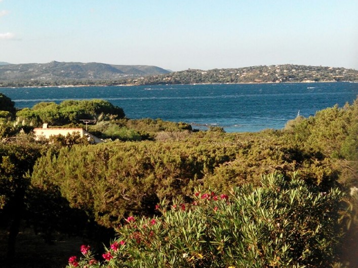 Location de vacances - Maison - Villa à Porto-Vecchio