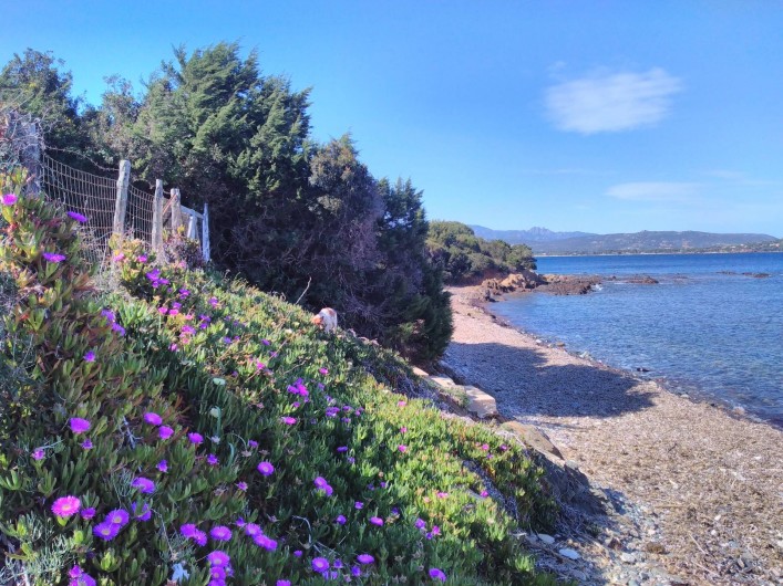 Location de vacances - Maison - Villa à Porto-Vecchio