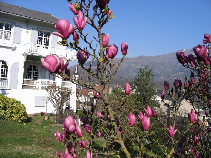 Location de vacances - Appartement à Argelès-Gazost - vue de la maison côté sud
magnolia en fleur