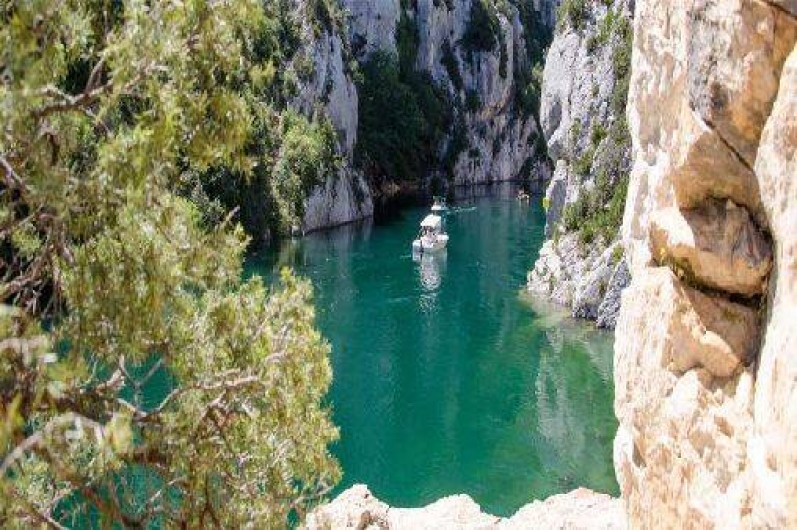 Location de vacances - Hôtel - Auberge à Brignoles