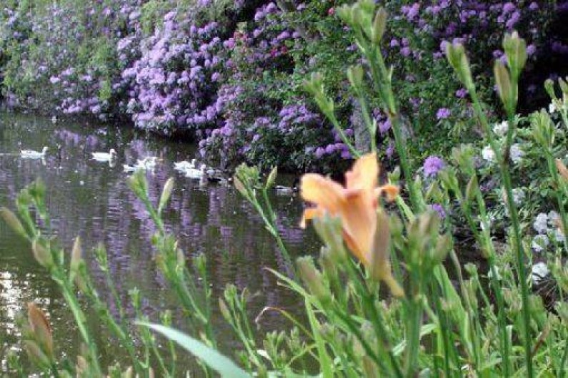 Location de vacances - Gîte à Varengeville-sur-Mer