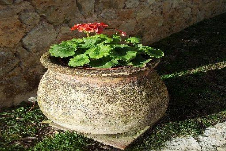 Location de vacances - Mas à Grasse